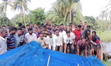 ৫২ বিলের পানি বন্ধ করলেন ২৭ বিলের কৃষক!