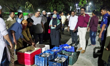 ফরিদপুরে নিষেধাজ্ঞার মধ্যে বিক্রির সময় ৫ মণ ইলিশ জব্দ