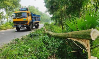 মহাসড়কে গাছ ফেলে ডাকাতি