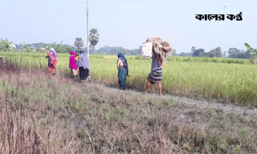 গ্রামে প্রবেশের রাস্তা নেই, সন্তানের বিয়ে দেওয়া নিয়ে বিপাকে ৫০ পরিবার