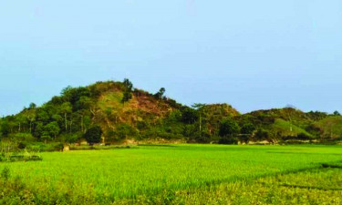 টেকনাফে একসঙ্গে ৯ কৃষককে অপহরণ