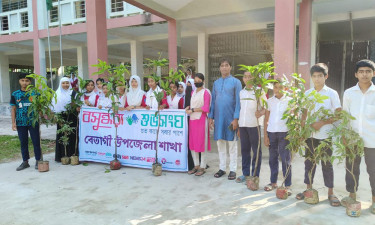 বেতাগীতে বসুন্ধরা শুভসংঘের আয়োজনে বৃক্ষরোপণ