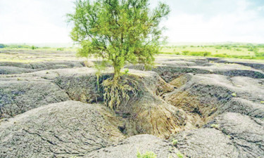 পঞ্চম শ্রেণি : প্রাথমিক বিজ্ঞান