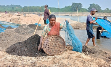 সোমেশ্বরীর বালুচরে কয়লা তুলে চলে যাদের সংসার