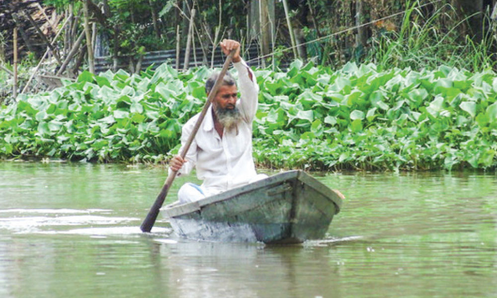 মাঝি