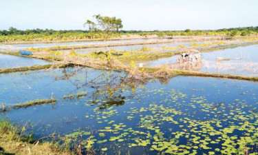 অপরিকল্পিত খননে জলাবদ্ধতা