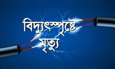 বিদ্যুৎস্পৃষ্ট মাকে বাঁচাতে জড়িয়ে ধরল ছেলে, ঝরল দুই প্রাণ