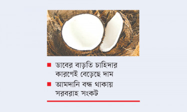 এক নারকেল ১৫০ টাকা