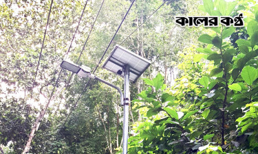 ৫০০ সোলার স্ট্রিট লাইটের অর্ধেকই অকেজো, চুরি হচ্ছে খুঁটি-ব্যাটারি