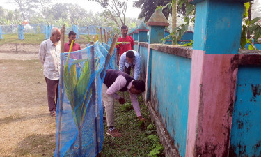 বরগুনায় বিদ্যালয় প্রাঙ্গণে বসুন্ধরা শুভসংঘের পরিচ্ছন্নতা অভিযান