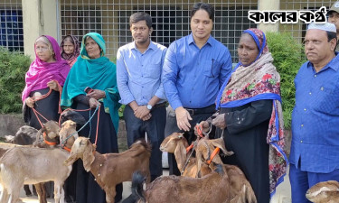 পটিয়ায় ভিক্ষাবৃত্তি দূর করতে ভিক্ষুকদের ছাগল-সেলাই মেশিন বিতরণ