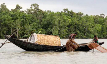 সুন্দরবনে কার্গো জাহাজের ধাক্কায় নৌকাডুবি, জেলে নিখোঁজ