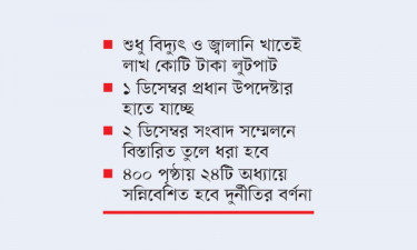 শ্বেতপত্রে আর্থিক খাতে মহালুটপাটের ভয়ংকর চিত্র