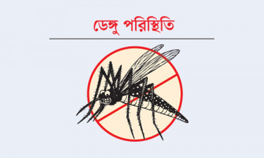 ডেঙ্গুতে আরো ৭ জনের মৃত্যু