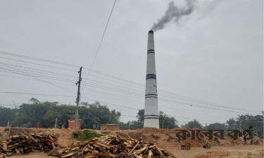 বিদ্যালয়ের পাশেই যুবলীগ নেতার ইটভাটা