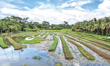 বছরজুড়েই ভাসমান পদ্ধতিতে চাষ