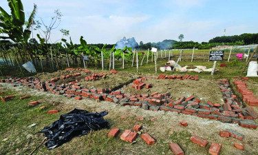 ঝিনাইদহে আওয়ামী লীগ নেতার বিরুদ্ধে জমি দখলের অভিযোগ