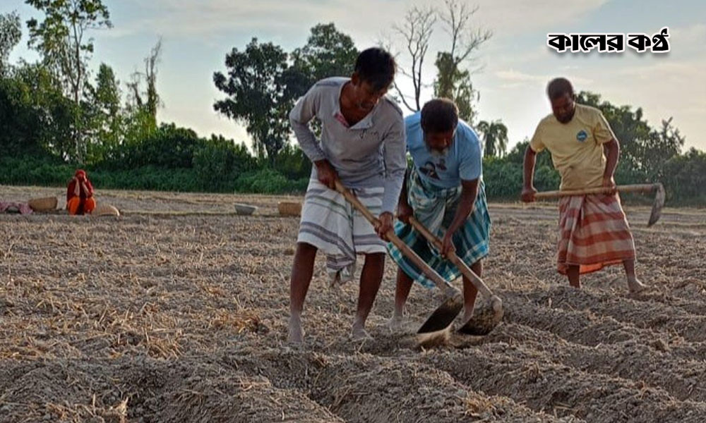 আদমদীঘিতে ৯ হাজার হেক্টর জমিতে রবিশস্য চাষের লক্ষ্যমাত্রা নির্ধারণ