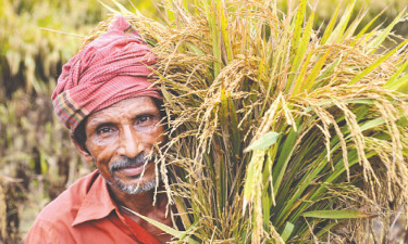 ষষ্ঠ শ্রেণি : ইংরেজি : বার্ষিক পরীক্ষার প্রস্তুতি