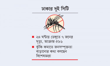 মশার ওষুধ পৌঁছে না উৎপত্তিস্থলে