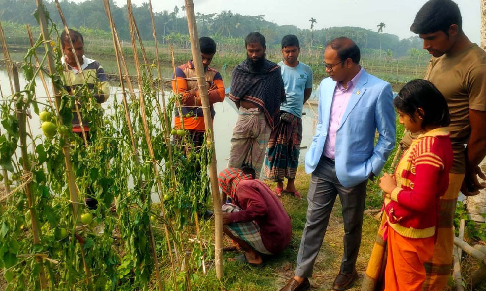 গাছের সঙ্গে শত্রুতা!