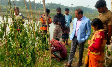 গাছের সঙ্গে শত্রুতা!