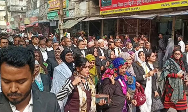 শেখ হাসিনার বিচারের দাবিতে বিএনপিপন্থী আইনজীবীদের বিক্ষোভ