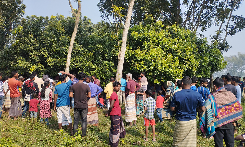 চাটমোহরে লিচু বাগানে পড়ে ছিল শিশু কল্পনার লাশ