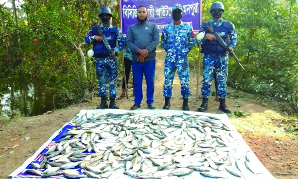 মনপুরায় কোস্ট গার্ডের অভিযানে বিপুল পরিমাণ জাটকা জব্দ