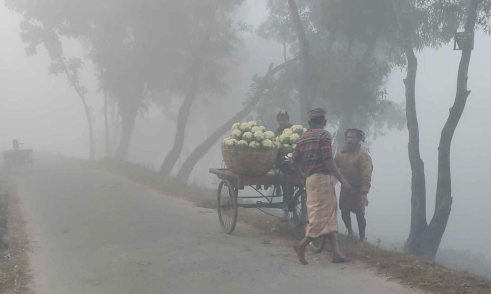 মৃদু শৈত্যপ্রবাহে বিপর্যস্ত পঞ্চগড়