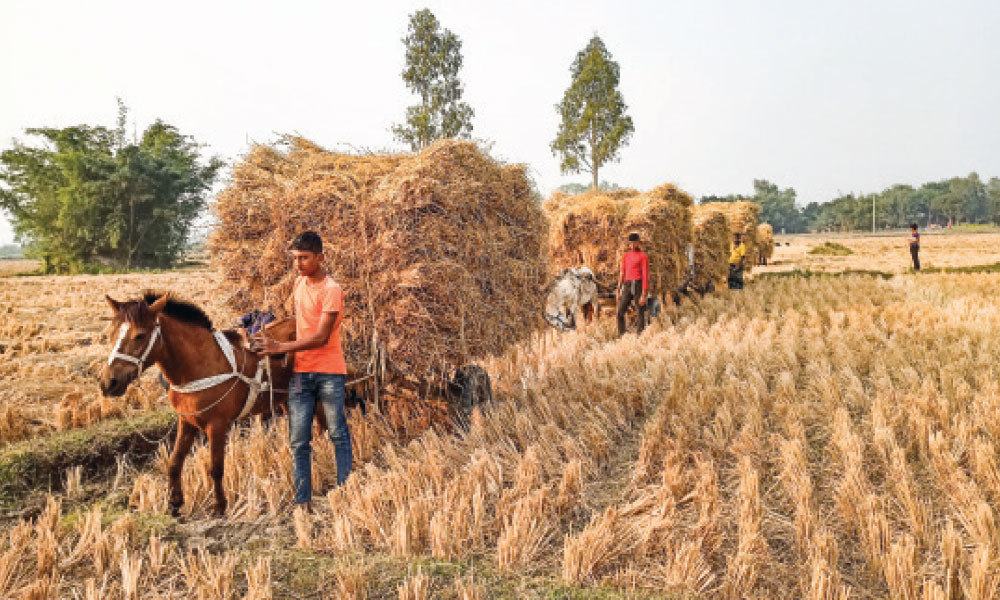 ঘোড়ার গাড়ি