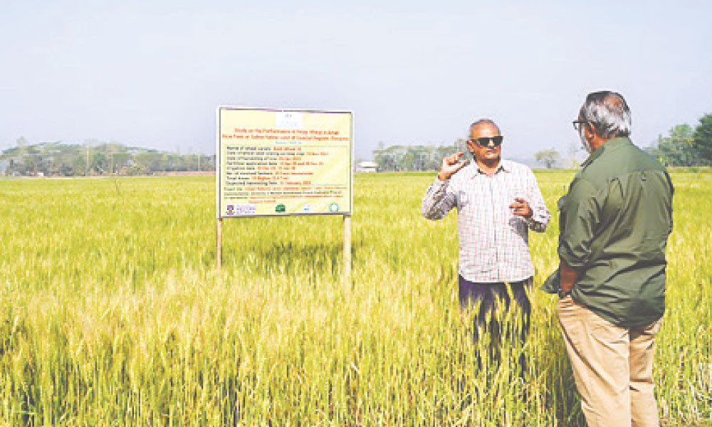 উপকূল কৃষিতে নতুন সম্ভাবনা