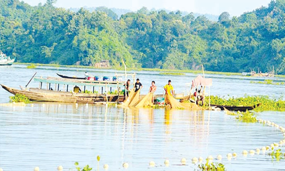 দেশীয় প্রজাতি ফিরিয়ে আনতে মাছের অভয়ারণ্য হবে কাপ্তাই হ্রদে