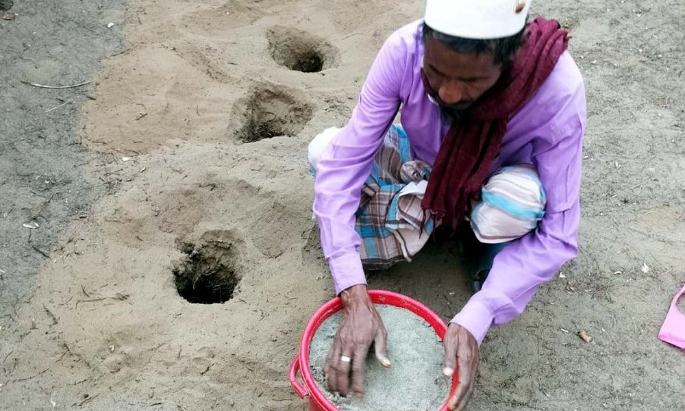 প্রতিকূল পরিবেশ, ডিম ছাড়তে আসছে না সামুদ্রিক কাছিম