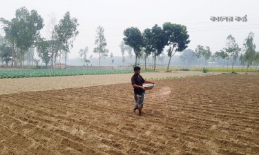 উত্তরের ৫ জেলার ফসলের মাঠে সারের হাহাকার