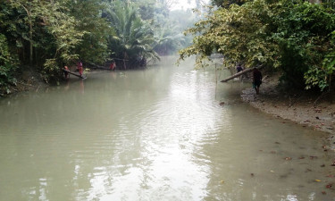 ইন্দুরকানীতে খালে বিষ দিয়ে মাছ শিকার