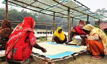 শৈলকুপার গ্রামে গ্রামে ‘কুমড়াবড়ি’ তৈরির ধুম