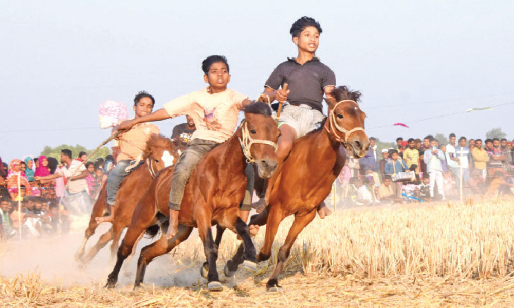 ঘোড়দৌড়