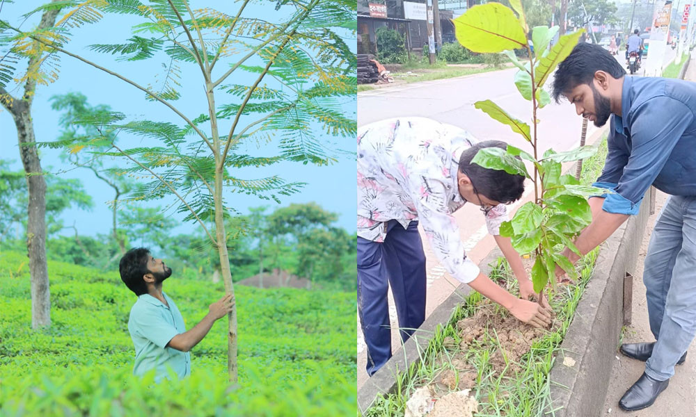 একাই ৩৩ হাজার গাছ রোপণ করেন শাকির