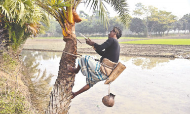 শীত-কুয়াশায় রসের হাঁড়ি