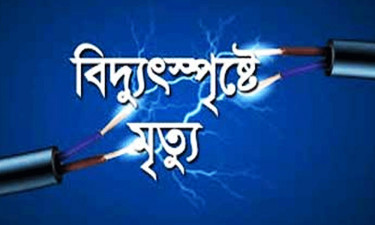 সিদ্ধিরগঞ্জে বিদ্যুৎস্পর্শে জামাই-শ্বশুরের মৃত্যু