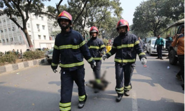 সচিবালয়ের পোড়া ভবনের আটতলায় মিলল মৃত কুকুর