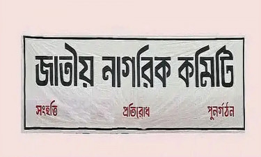 সচিবালয়ে অগ্নিকাণ্ড পরিকল্পিত ষড়যন্ত্র: জাতীয় নাগরিক কমিটি