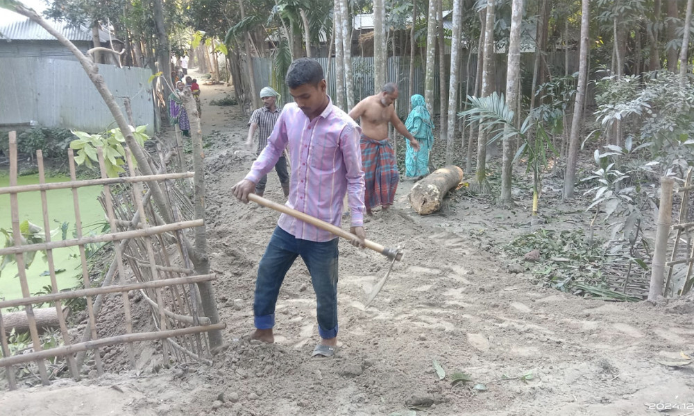 পীরগাছায় কৃষকের ২৫ গাছ কেটে নিল দুর্বৃত্তরা