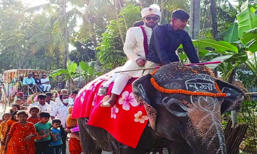 হাতিতে চড়ে বিয়ে করতে গেলেন নিষিদ্ধ ছাত্রলীগ নেতা