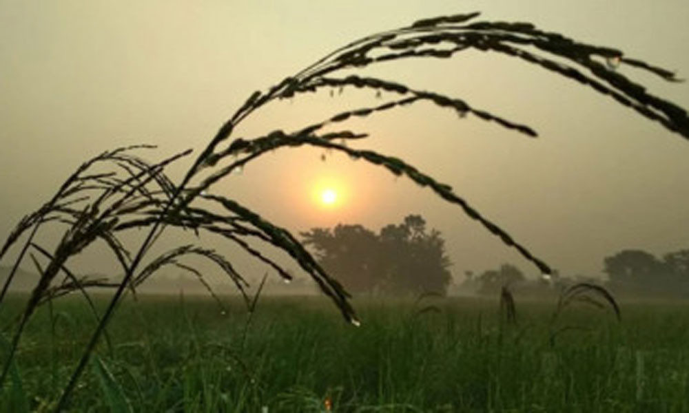 সারা দেশে রাতে-দিনে তাপমাত্রা কমবে