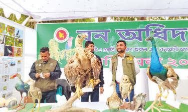 পাখি সংরক্ষণ সচেতনতায় মেলা