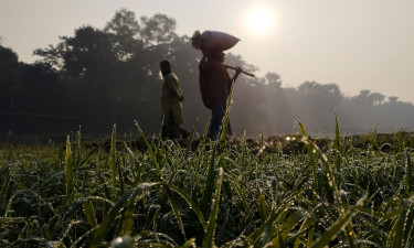 সারা দেশে তাপমাত্রা বাড়ার আভাস