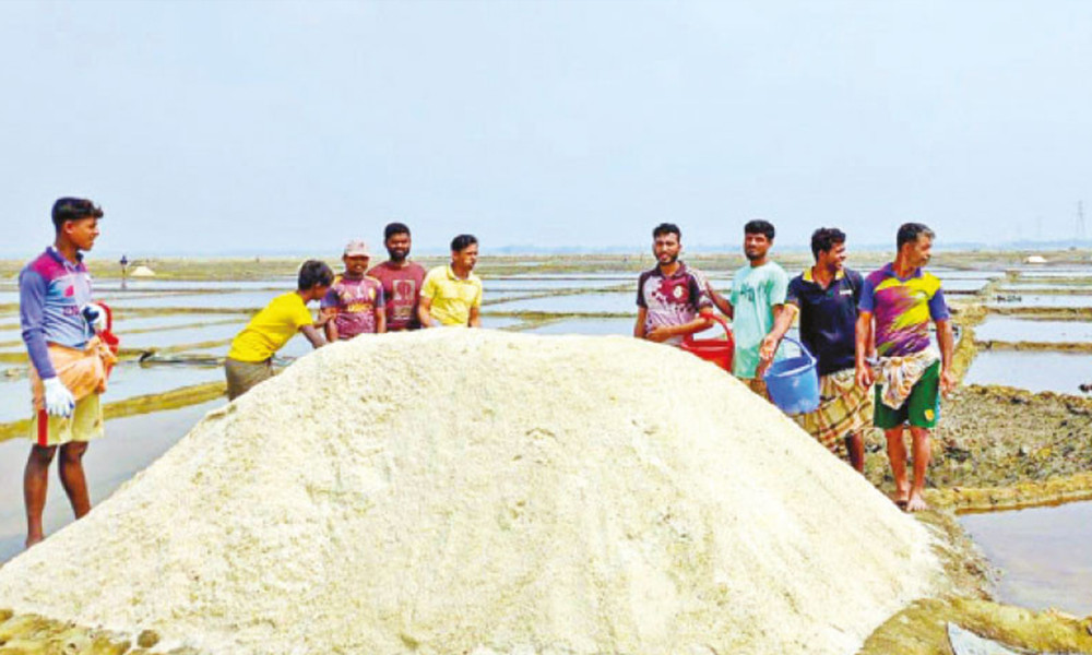 মণপ্রতি কমেছে ১০০ টাকা, ন্যায্য দাম পাচ্ছেন না লবণ চাষিরা