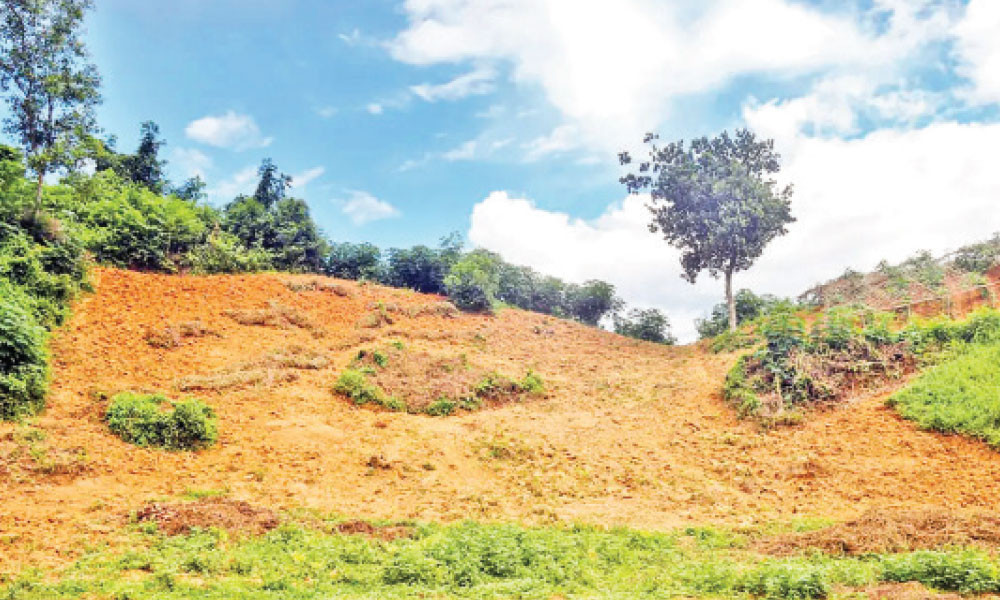 এসএসসির প্রস্তুতি : বাংলাদেশ ও বিশ্বপরিচয়